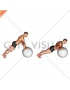 Push-up (on stability ball)
