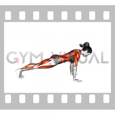 Knee Tuck Push-up (female)