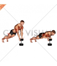 Push-Up Close-grip off Dumbbell