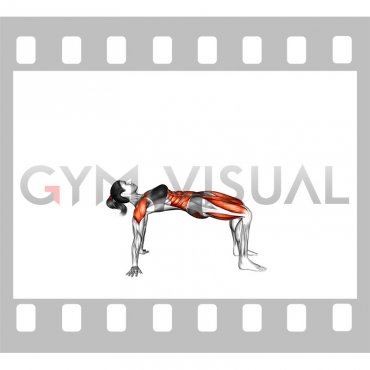 Reverse Plank with Leg Lift (female)