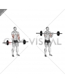 Barbell Standing Reverse Grip Curl