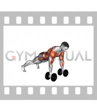 Dumbbell Renegade Row