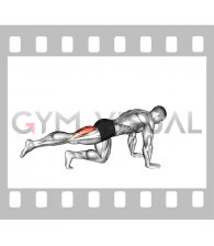 Kneeling Single Hamstring Curl (male)