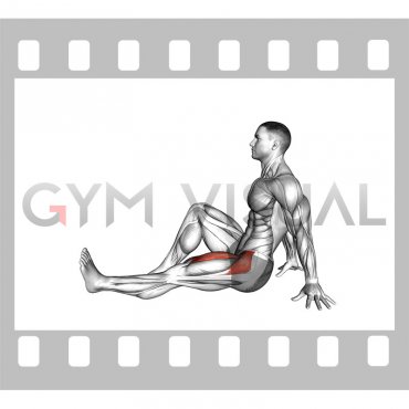 Seated Single Leg Raise (male)