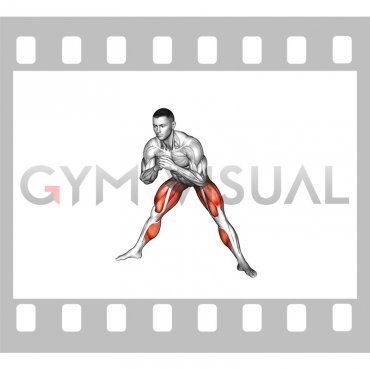 Side Lunge Stretch (VERSION 2) (male)