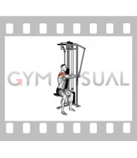 Lever Side Seated Single Arm Rear Delt Fly (male)