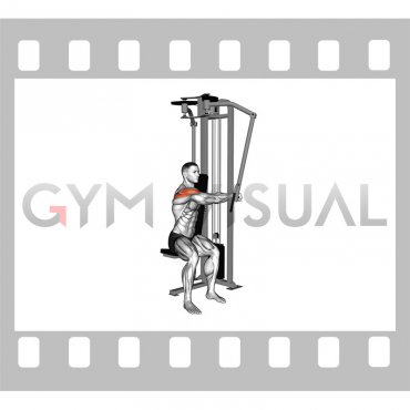 Lever Side Seated Single Arm Rear Delt Fly (male)