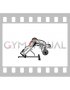 Barbell Zercher Back Extension (male)