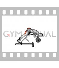 Barbell Zercher Back Extension (male)