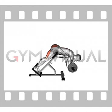 Barbell Zercher Back Extension (male)