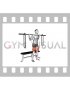 Barbell Weighted Chains Bench Squat (male)