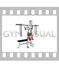 Barbell Weighted Chains Bench Squat (male)