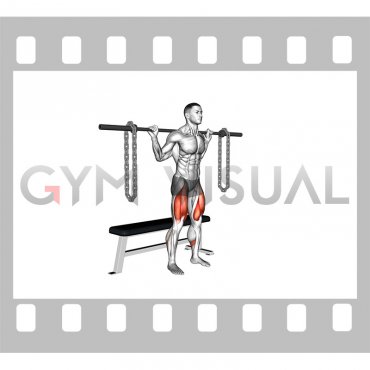 Barbell Weighted Chains Bench Squat (male)