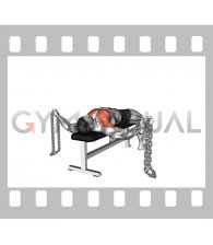 Weighted Chains Lying Bench Fly (male)