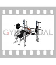 Barbell Weighted Chains Bench Press (male)