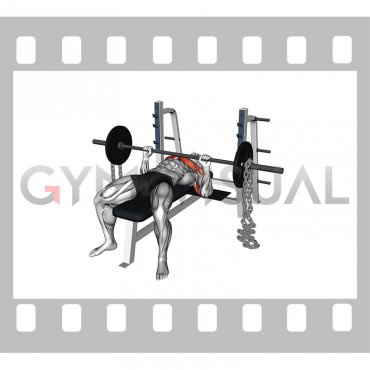 Barbell Weighted Chains Bench Press (male)