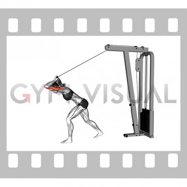 Cable High Pulley Straight Bar Overhead Triceps Extension (female)