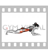 Front Elbow Plank (female)