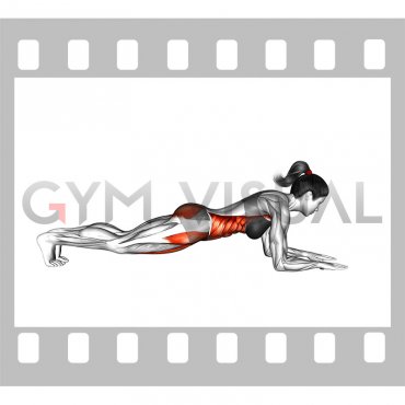 Front Elbow Plank (female)