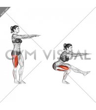 Single Leg Squat (pistol)