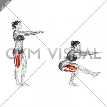 Single Leg Squat (pistol)