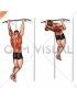 Rocky Pull-Up Pulldown