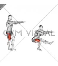 Single Leg Squat (pistol) male