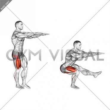 Single Leg Squat (pistol) male