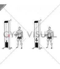 Cable Forearm Pronation (male)