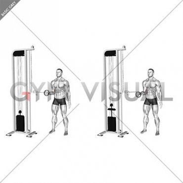 Cable Forearm Pronation (male)