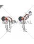 Bent Over Back Extension Scapular Adduction (male)