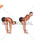 Bent Over Back Extension Scapular Adduction (male)