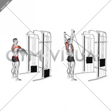 Cable Standing Y raise (VERSION 2) (male)