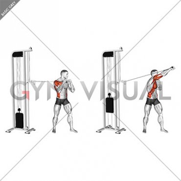 Cable Standing Jab (VERSION 2) (male)