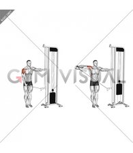 Cable Single Arm Lateral Raise (VERSION 2) (male)