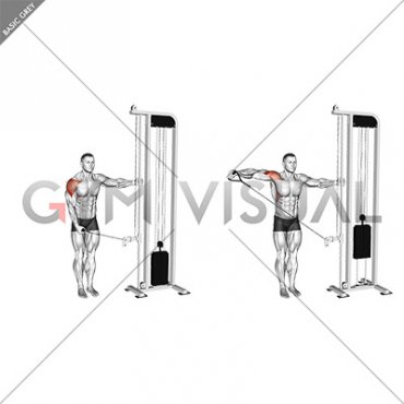 Cable Single Arm Lateral Raise (VERSION 2) (male)