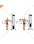 Cable Single Arm Lateral Raise (VERSION 2) (male)