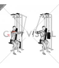 Lever Side Seated Single Arm Rear Delt Fly (male)