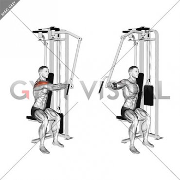 Lever Side Seated Single Arm Rear Delt Fly (male)