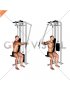 Lever Side Seated Single Arm Rear Delt Fly (male)