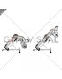 Barbell Zercher Back Extension (male)