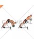 Barbell Zercher Back Extension (male)