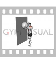 Exercise Ball Serratus Wall Slide