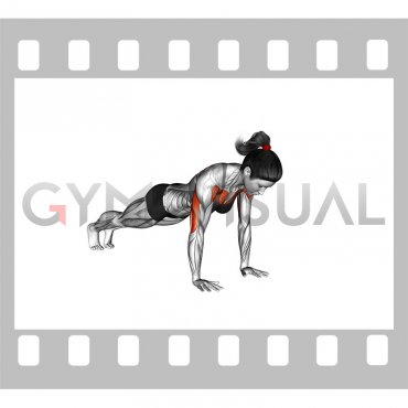 Clock Push-up (female)