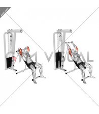 Cable Incline Triceps Extension