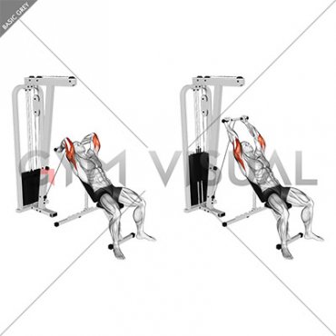 Cable Incline Triceps Extension