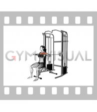 Cable Seated Chest Press (female)