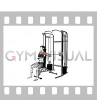 Cable Seated Single Arm Chest Press (female)