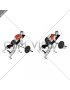 Barbell Reverse Grip Incline Bench Row