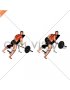 Barbell Reverse Grip Incline Bench Row